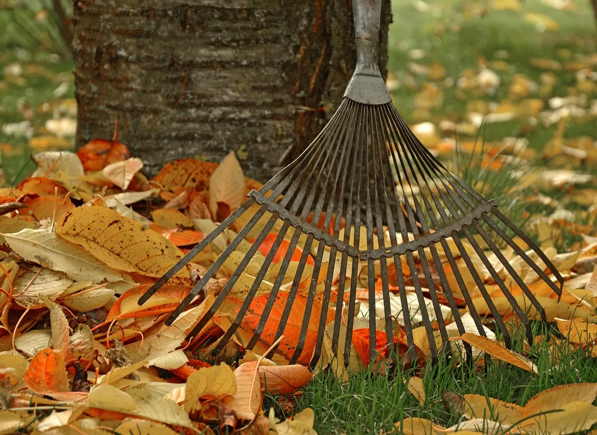 Autumn Garden Checklist: 12 Jobs to Do Before the First Frost